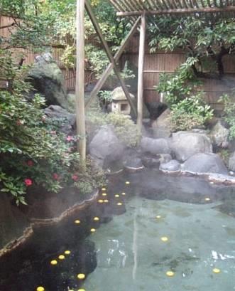 Отель Hoseikan
