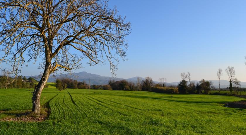 Отель Agriturismo Il Giglio di S. Antonio