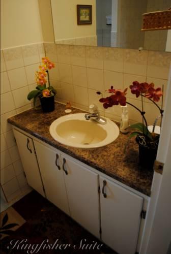Мини-отель Corbett House Adventure B&B