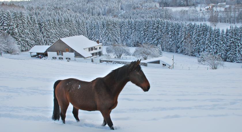 Мини-отель Chambre d'hotes Kieffer