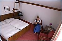 Мини-отель Pension Bergfried