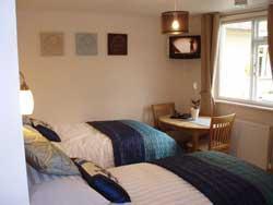 Гостевой дом The Willows Guest House