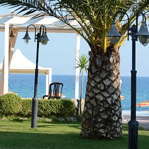 Отель Hotel Federica