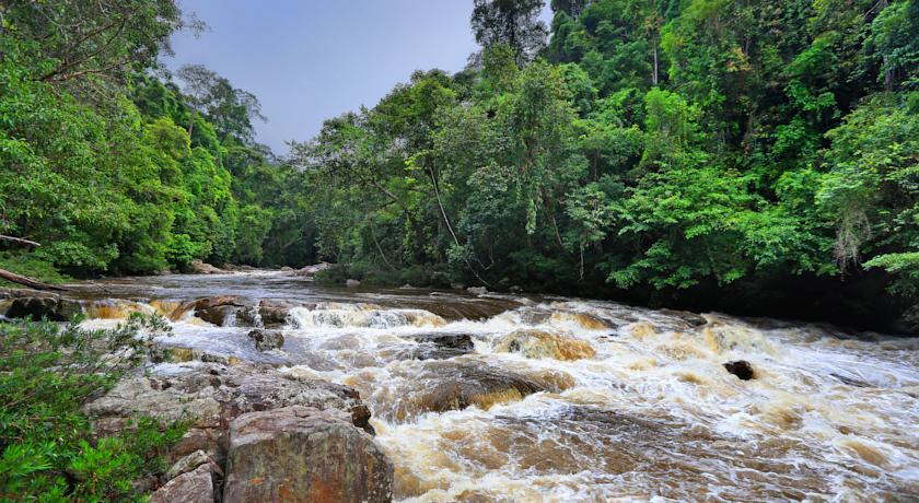 Отель Mutiara Taman Negara