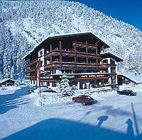 Отель Hotel Alpina Regina