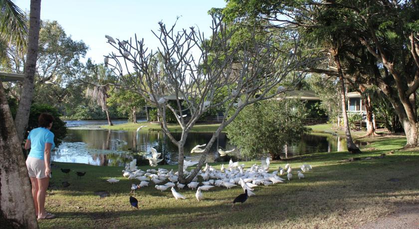 Отель Sanctuary Lakes Fauna Retreat