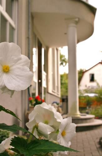 Апартаменты Hotel und Appartementhaus Rheden
