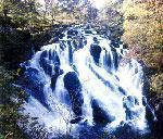Отель Swallow Falls Complex