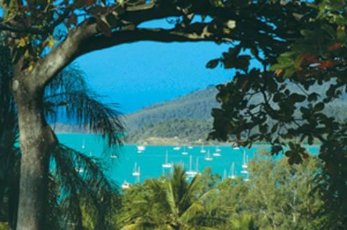 Мини-отель Airlie Beach Organic Guest House
