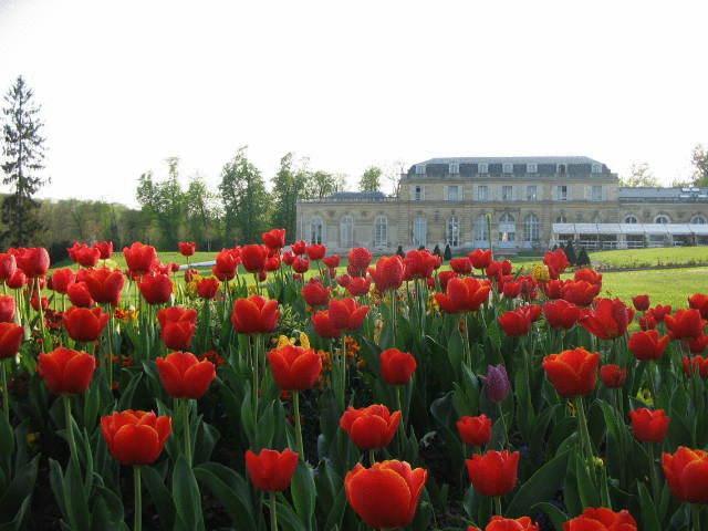 Отель Résidence Le Château Du Val