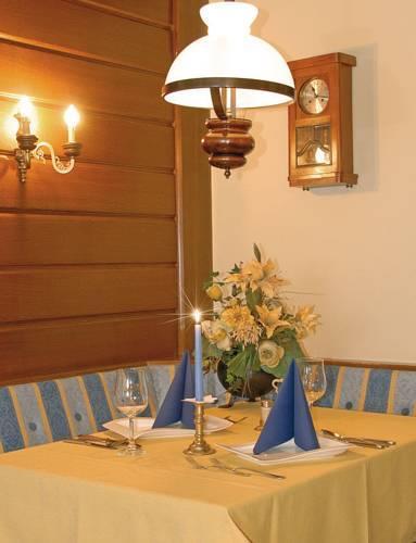 Отель Hotel Alpina
