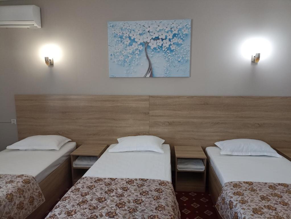 Silk Way Hotel