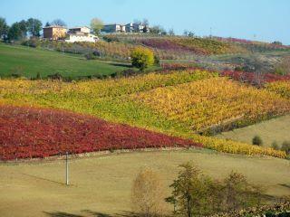 Отель Agriturismo Podere Diamante