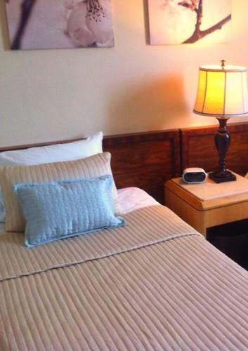 The Amsterdam Guest House