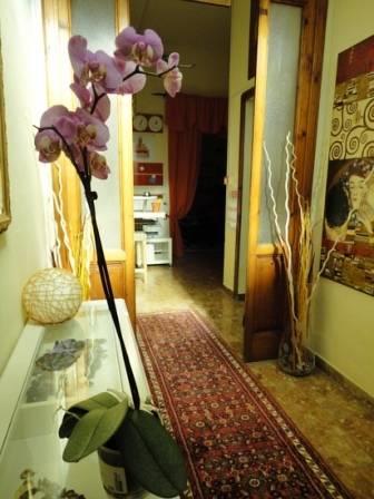 Хостел B&B Pisa Tower