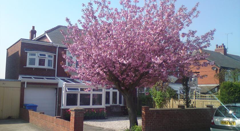 Мини-отель Cherry Blossom Guest House