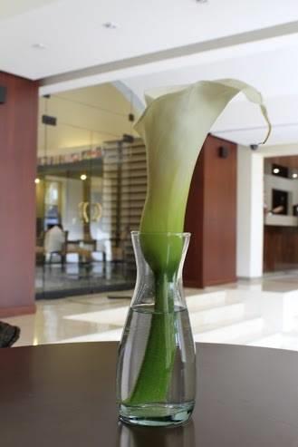 GHL Hotel Hamilton