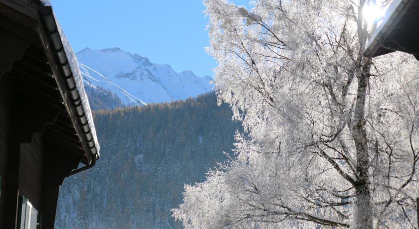 Отель Hotel Blinnenhorn