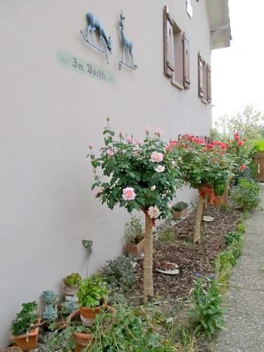 Мини-отель Anni's B+B