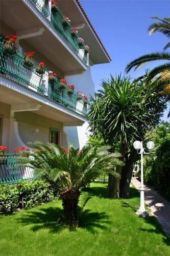 Отель Hotel Eliseo Park's