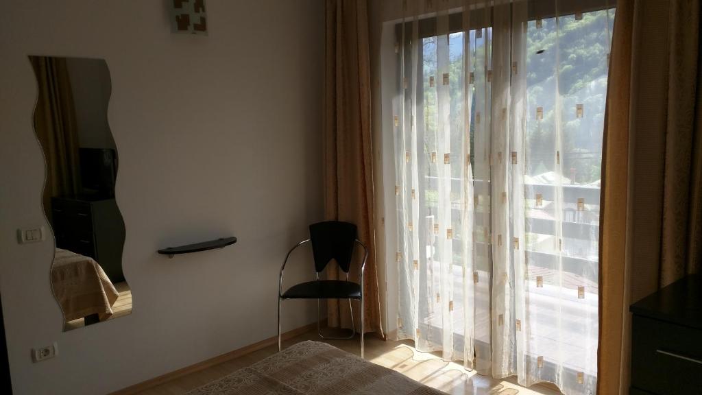 Апартаменты Hotel Silvia Apart Sinaia