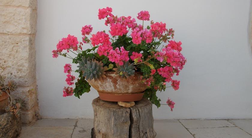 Отель Agriturismo Masseria Casamassima