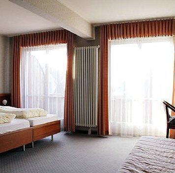 Отель Hotel zum Roten Löwen