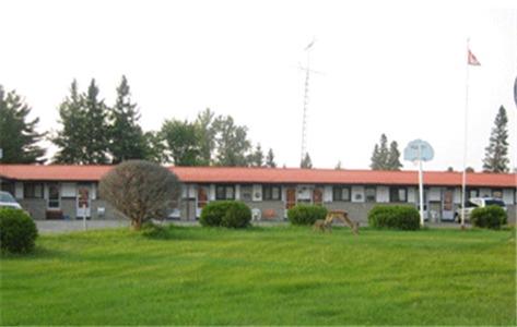 Отель Nite Owl Motel