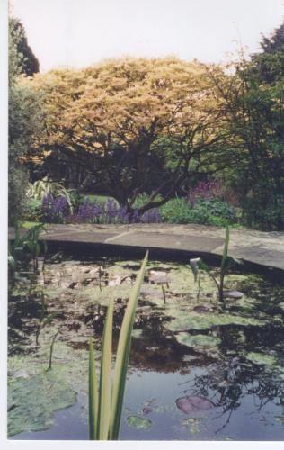 Downs Edge