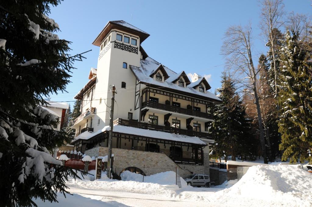 Отель Hotel Foisorul cu Flori