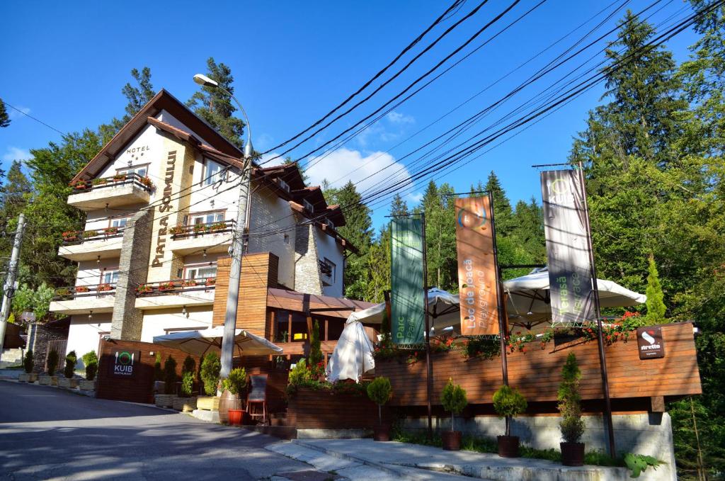 Гостевой дом Hotel Piatra Soimului
