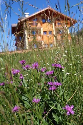 Отель Agritur Maso Chemela