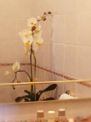 Отель Ramnee Hotel