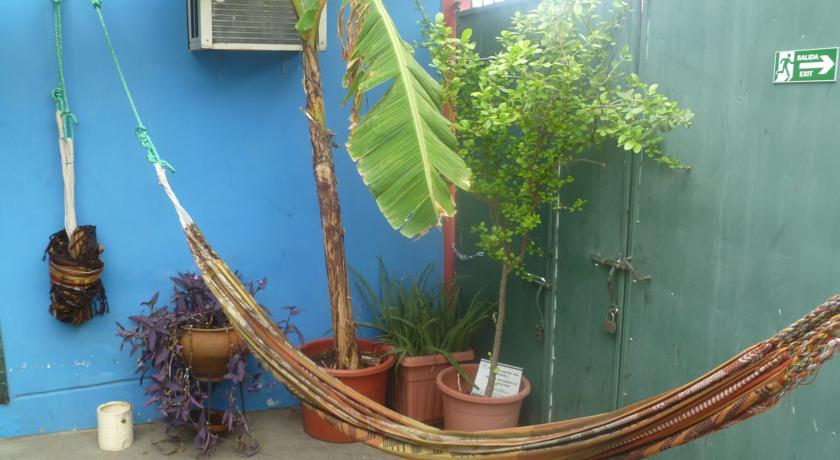Dreamkapture Hostel