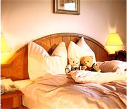 Отель Hotel & Sport Mödlinger