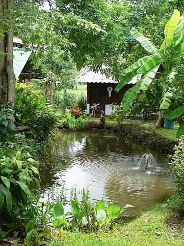 Отель Rainbow House Pai