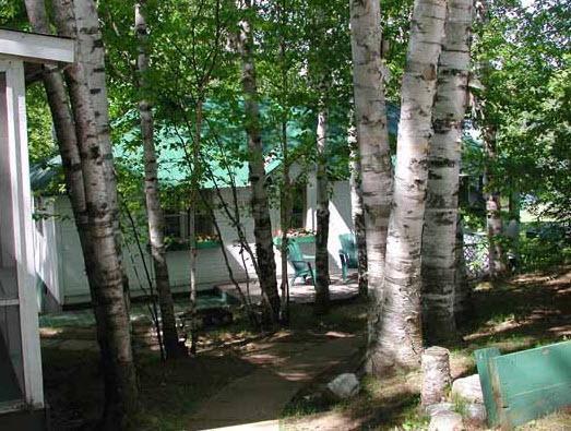 Отель Birch Cliff Lodge on Baptiste Lake