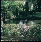 Отель Hotel Dreyeroord