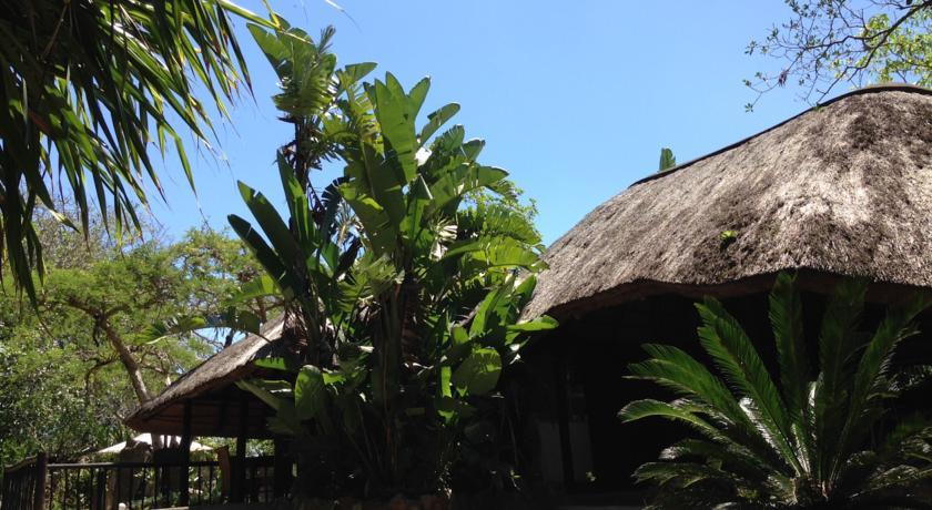 Отель Wildebees Ecolodge