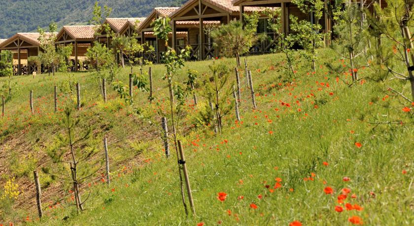 Отель Domaine de Saint Esteve