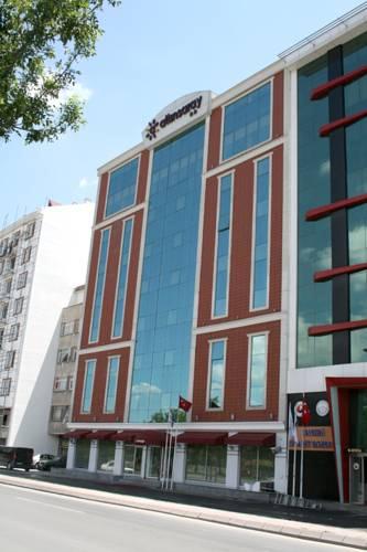 Отель Altinsaray Hotel