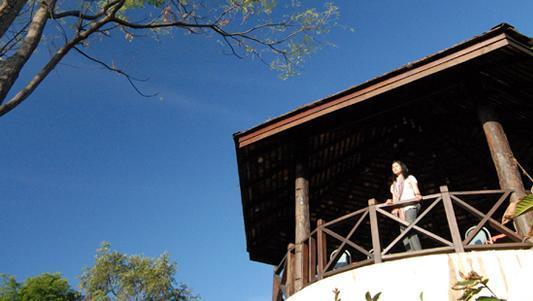 Отель DoiTung Lodge