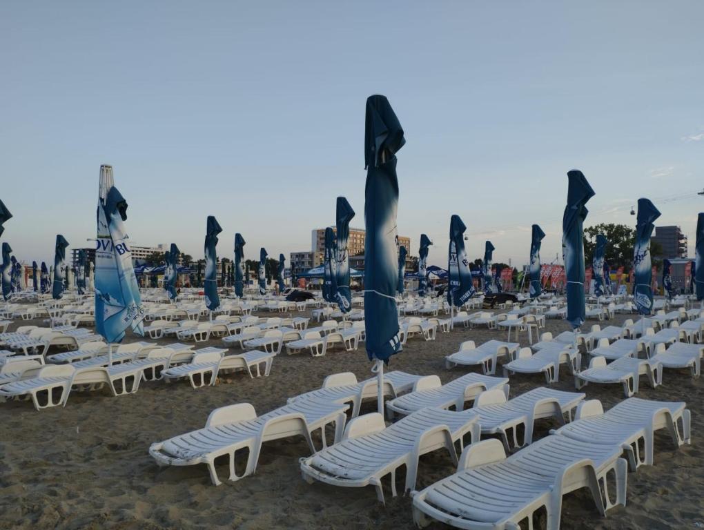 Отель Hotel Doina