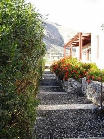 Апартаменты The Birds Villa Apartments