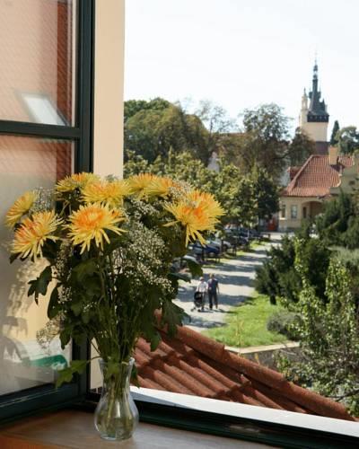 Отель Hotel Magnolia