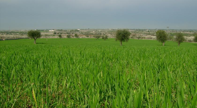 Отель B&B Masseria Spilafemine