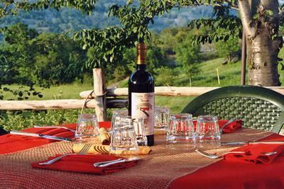 Отель Hotel Comtes De Challant