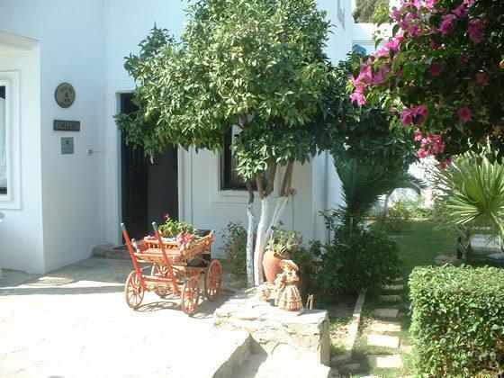 Отель Miray Hotel
