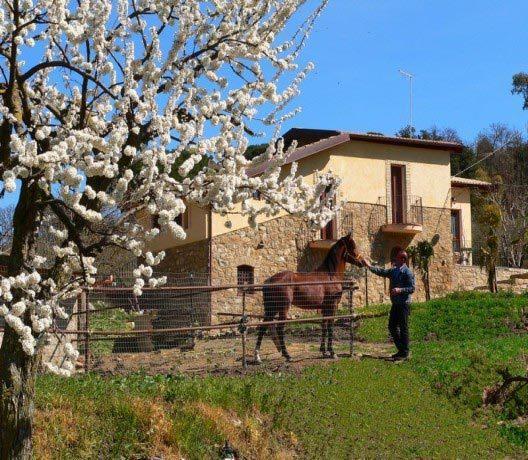 Отель Giucalem La Casa Negli Orti