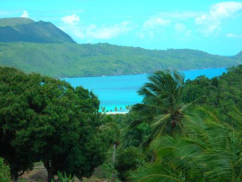 Отель Rincon Eco Lodge